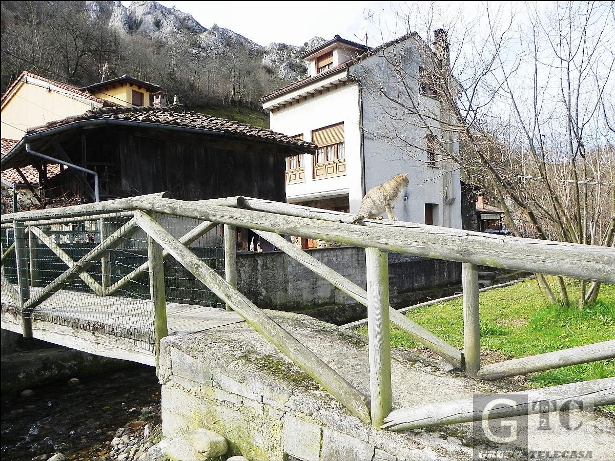 For sale of house in Oviedo