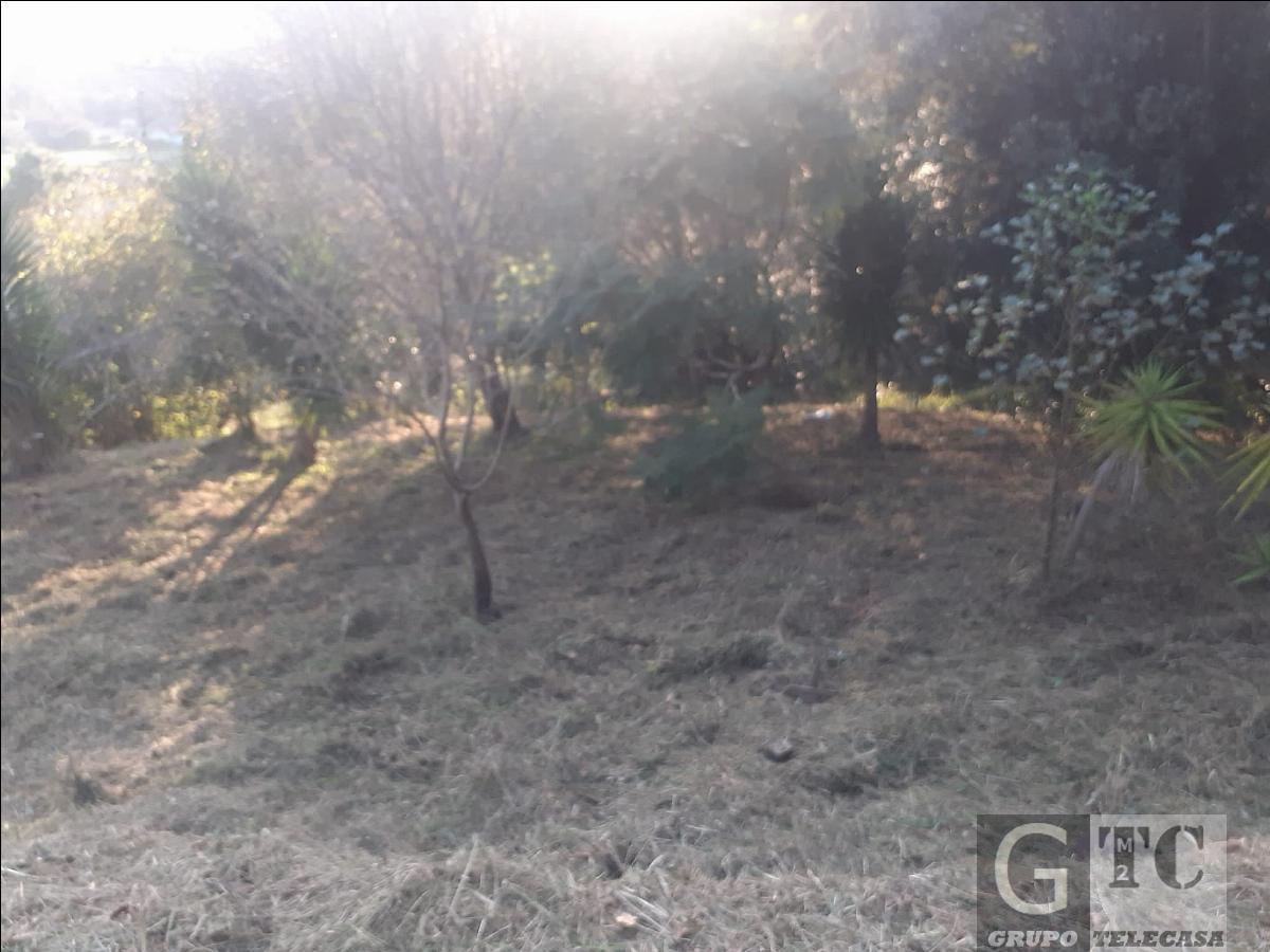 Ground