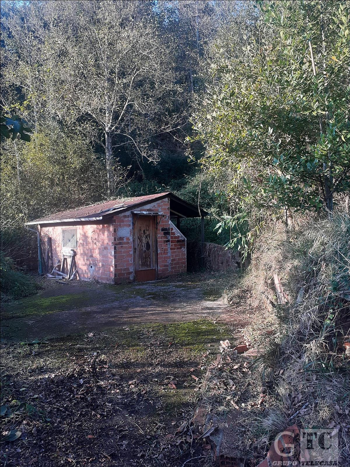 Ground