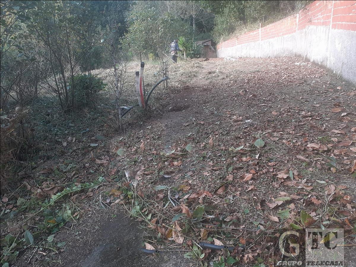 Ground