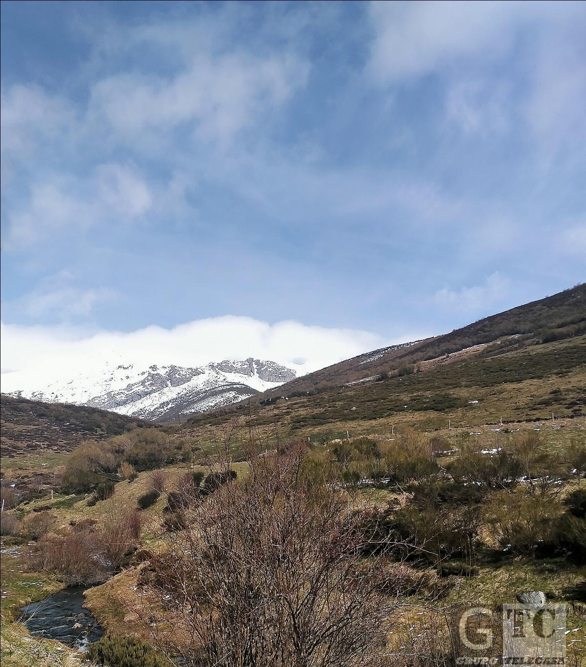 Vistas