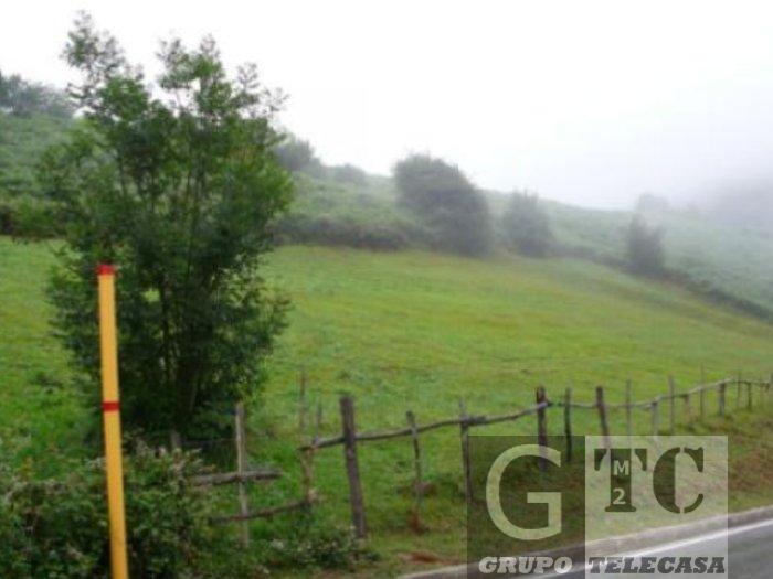 Venta de finca rústica en Lena