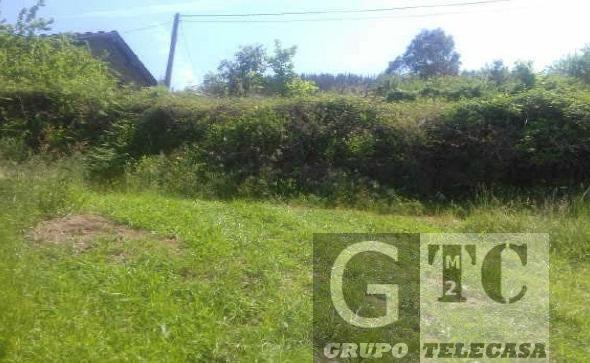 Venta de finca rústica en Tineo Concejo