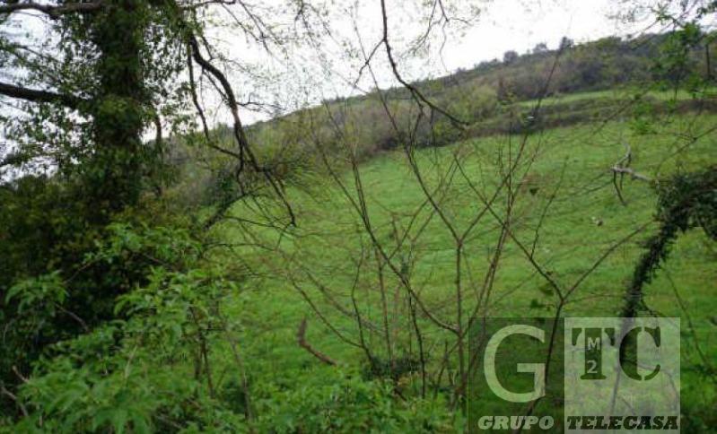 Venta de finca rústica en Siero
