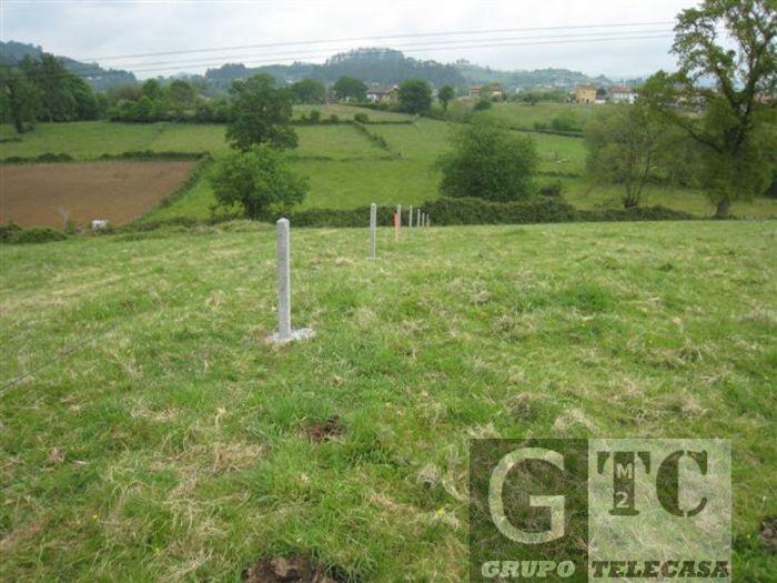 Venta de finca rústica en Siero