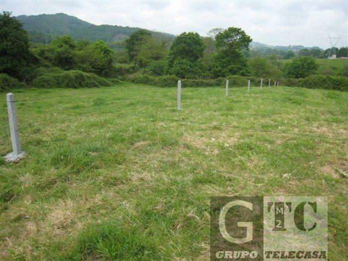 Venta de finca rústica en Siero
