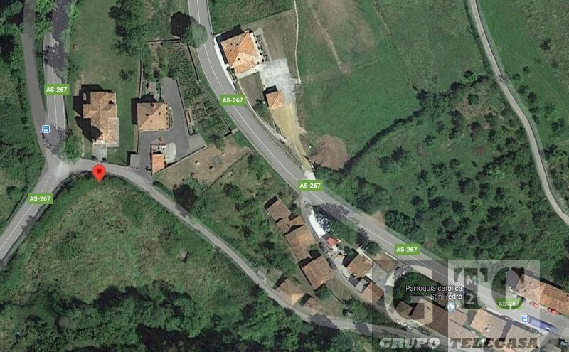 Venta de finca rústica en Villaviciosa