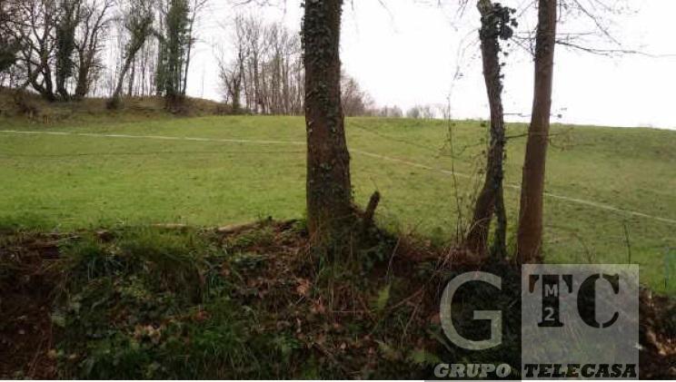 Venta de terreno en Oviedo