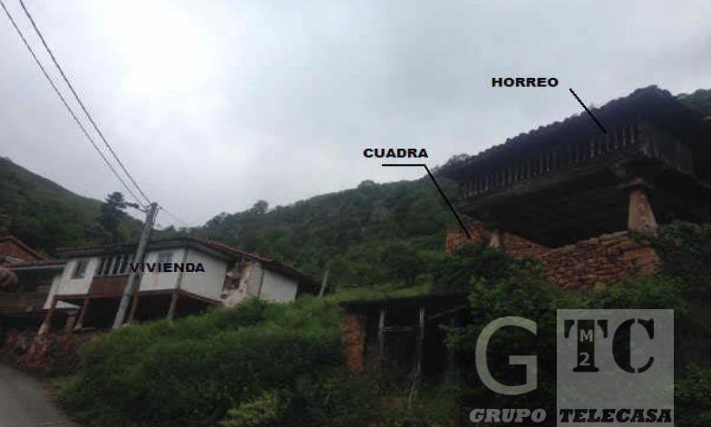 Venta de casa en Somiedo