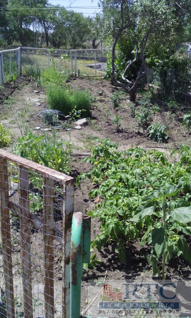 Venta de finca rústica en Añora