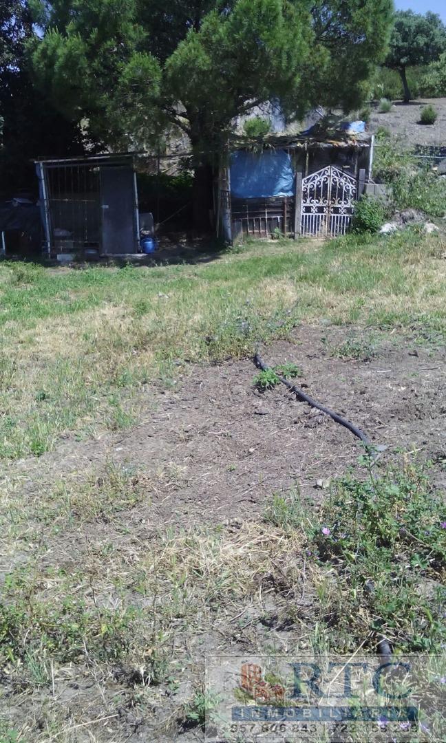 Venta de finca rústica en Añora