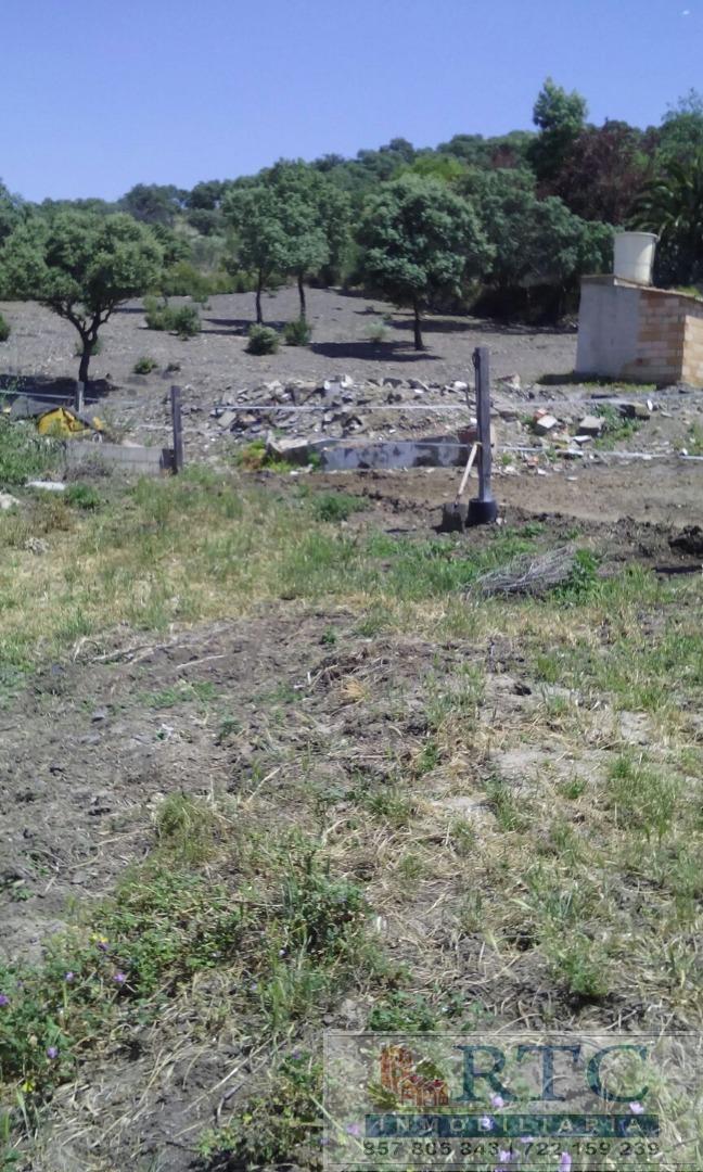 Venta de finca rústica en Añora