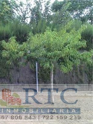 Venta de chalet en Córdoba