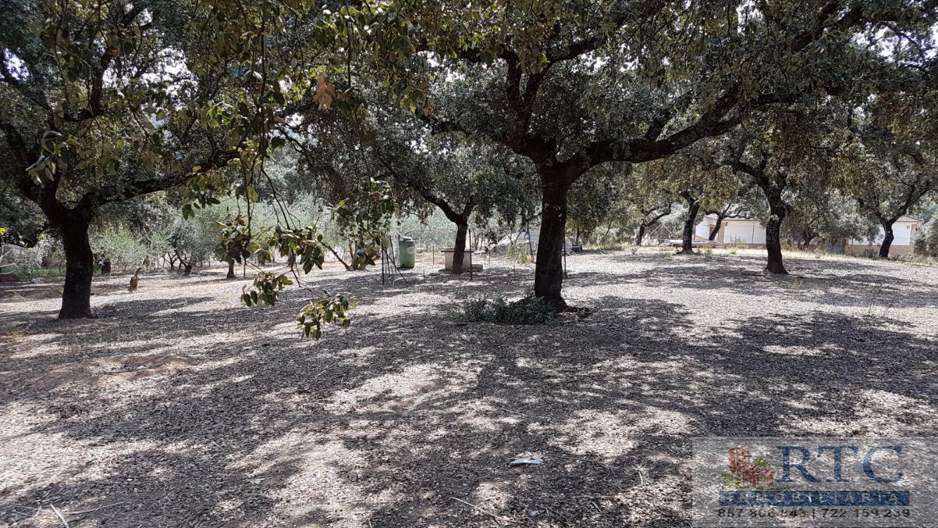 Venta de casa en Obejo