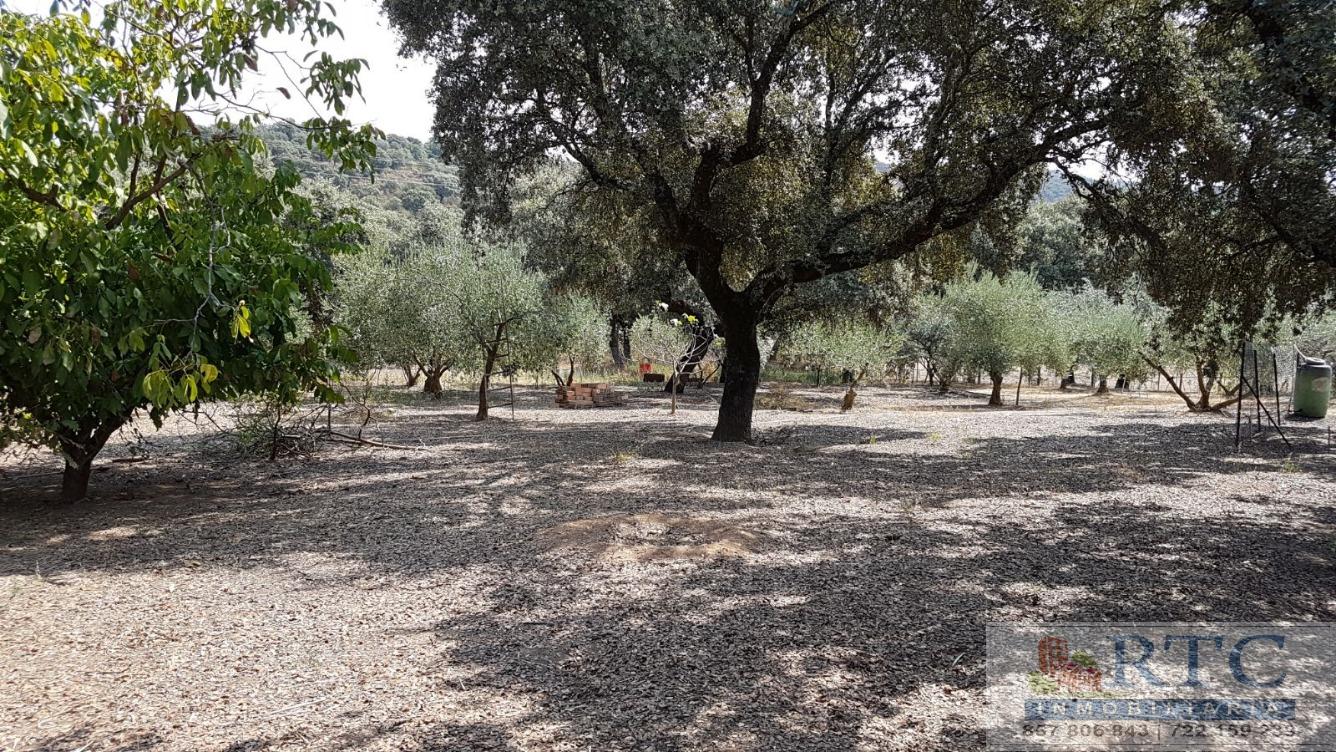 Venta de casa en Obejo