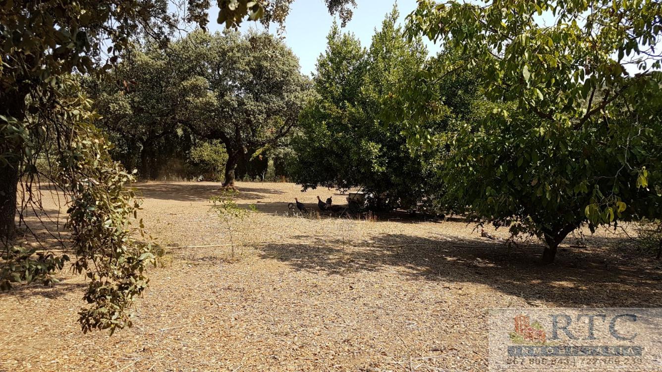 Venta de casa en Obejo