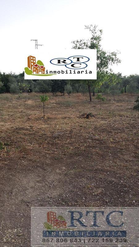 Venta de casa en Pedro Abad