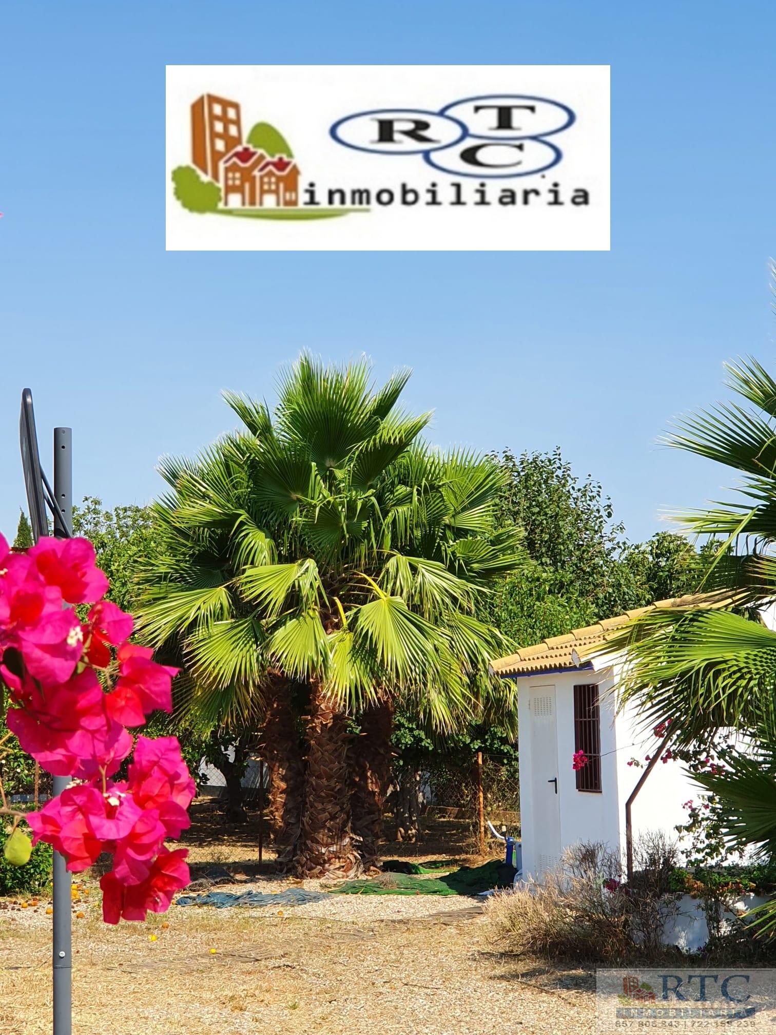 Venta de chalet en Córdoba