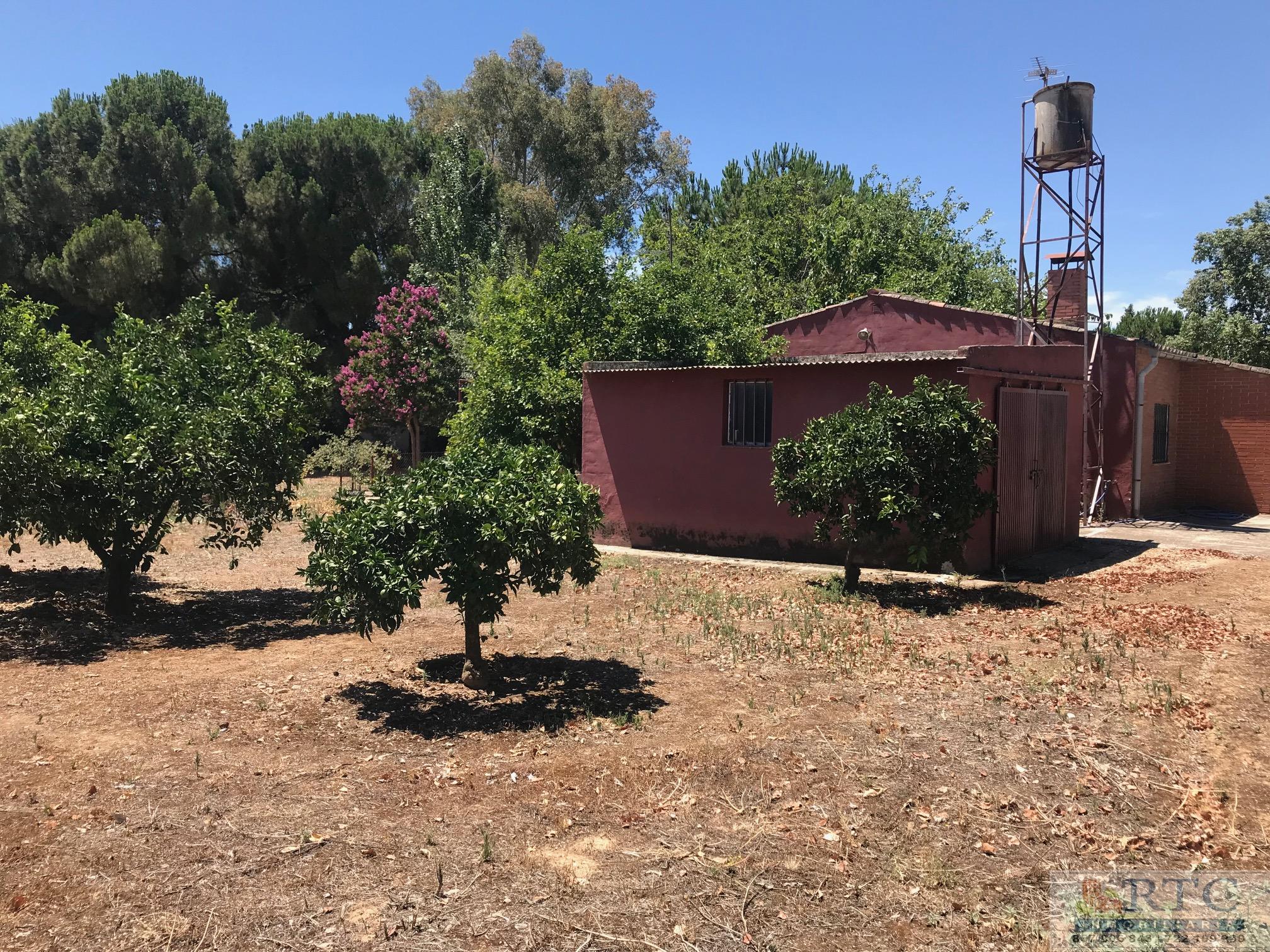 Venta de casa en Almodóvar del Río