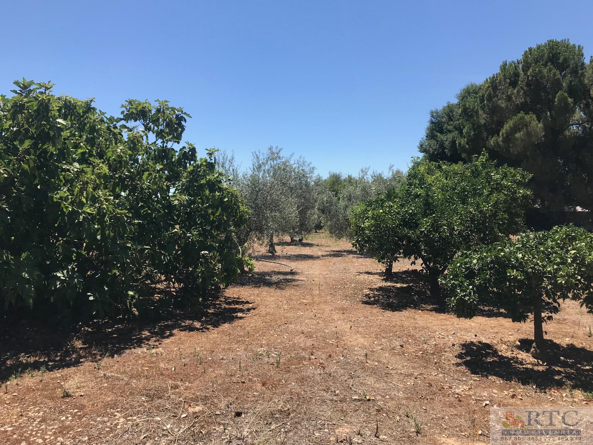 Venta de casa en Almodóvar del Río