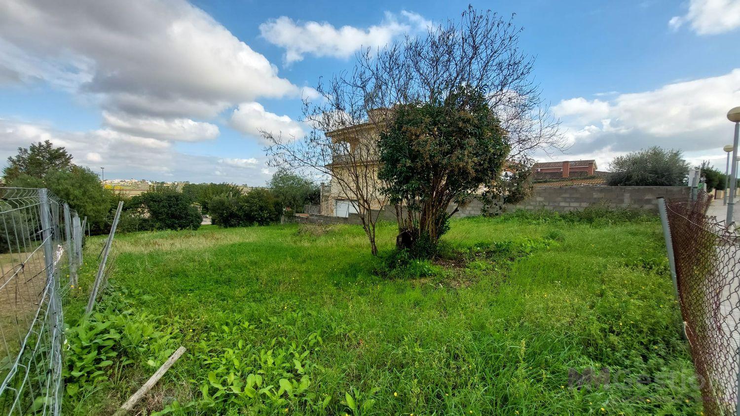Venta de terreno en Vilobí del Penedès