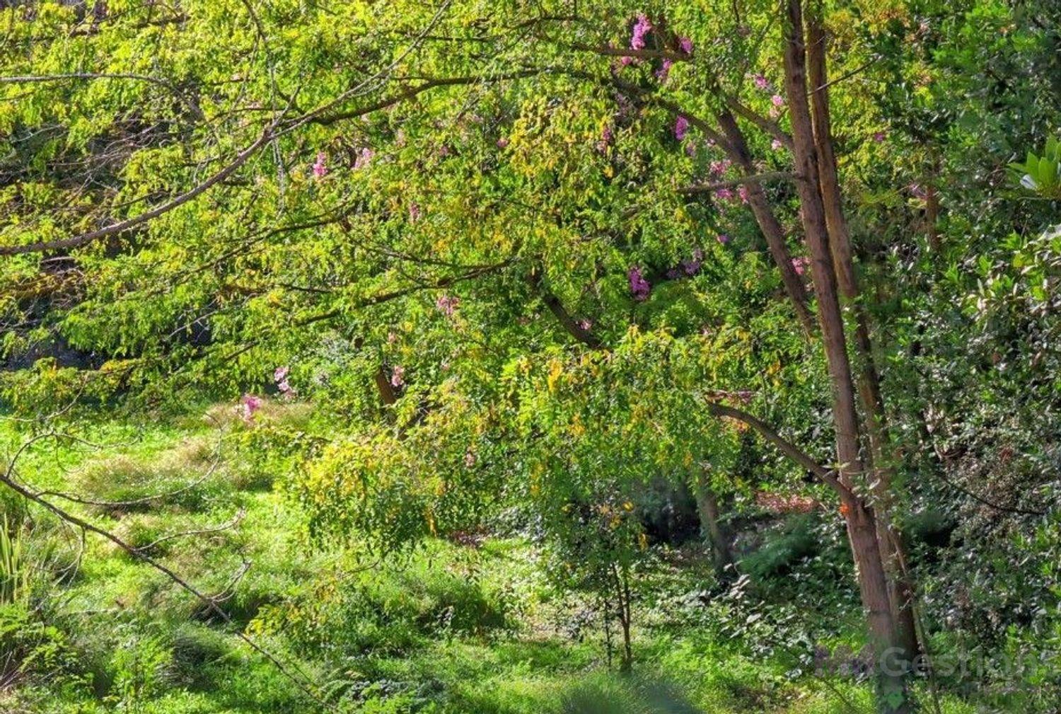 Venta de terreno en Vilobí del Penedès