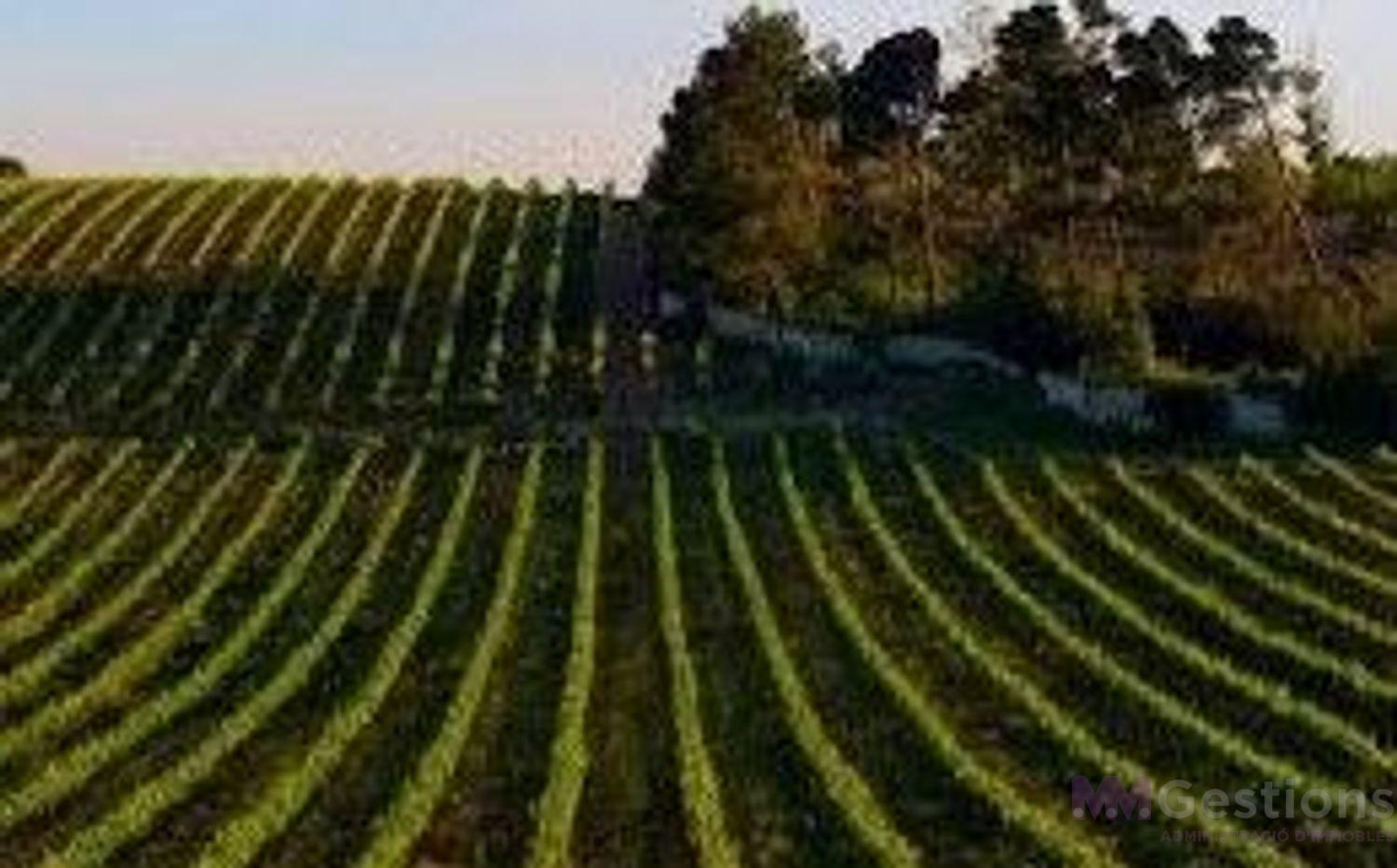 Venta de casa en Mediona