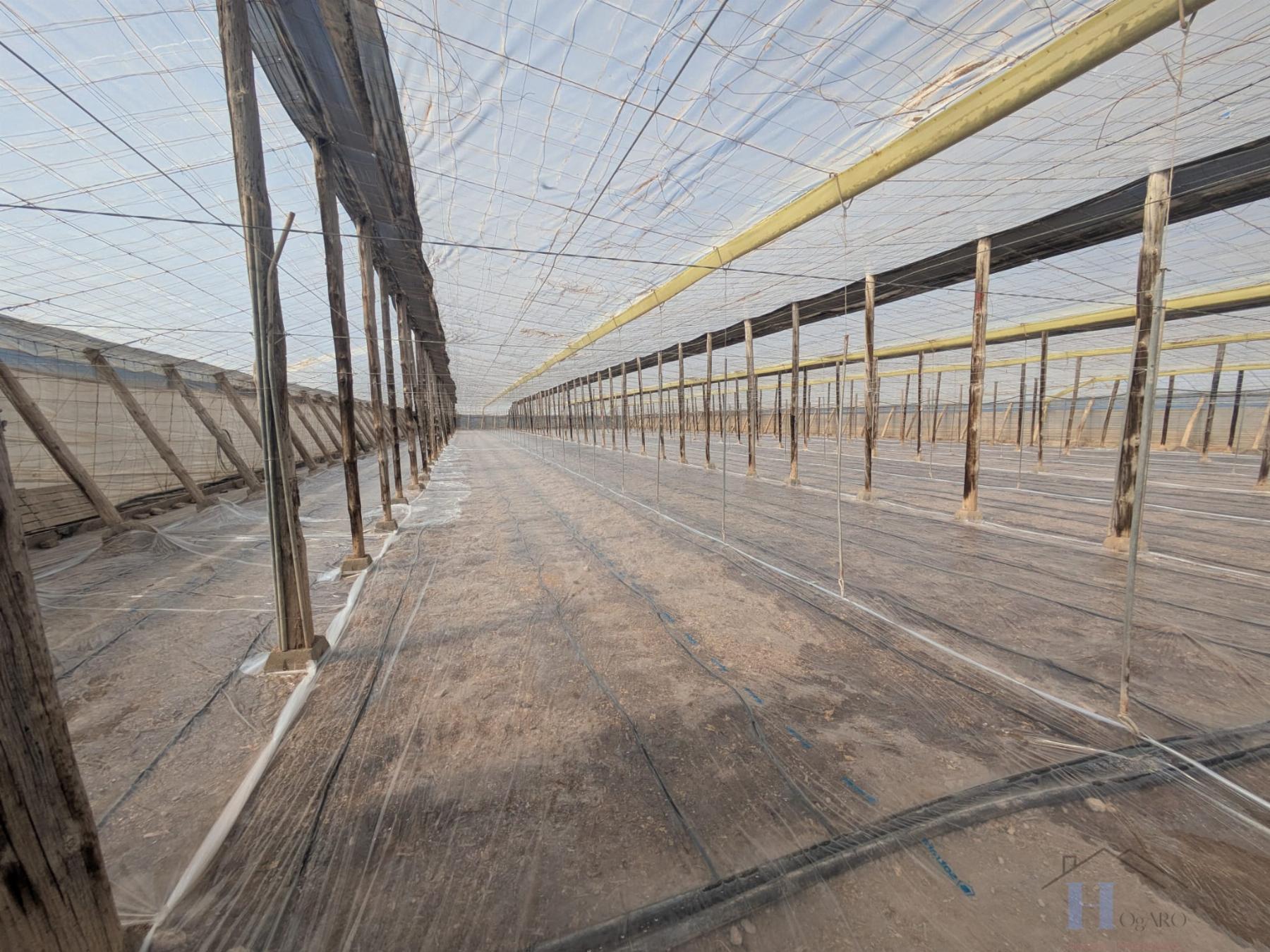 Venta de finca rústica en El Ejido
