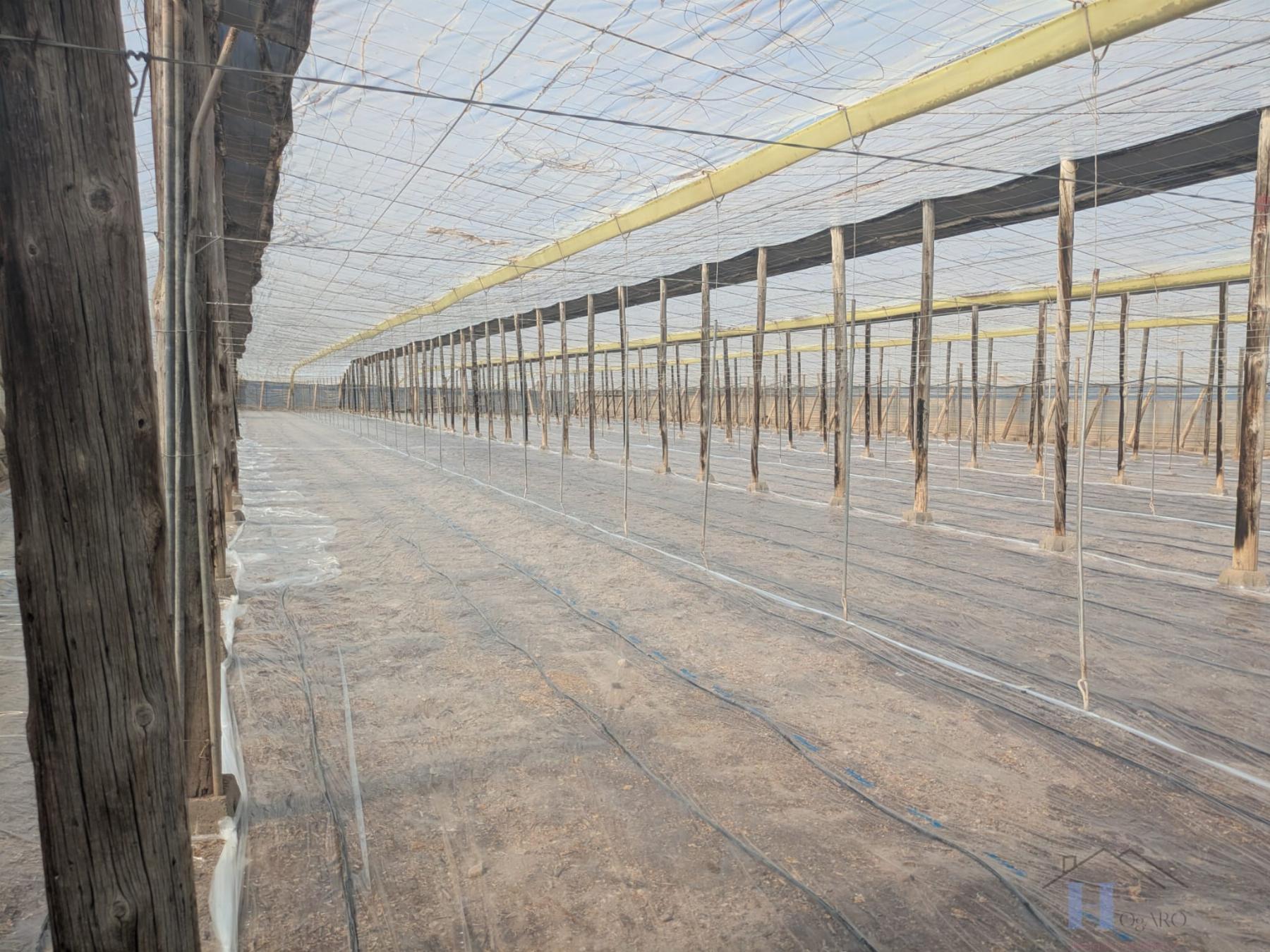 Venta de finca rústica en El Ejido