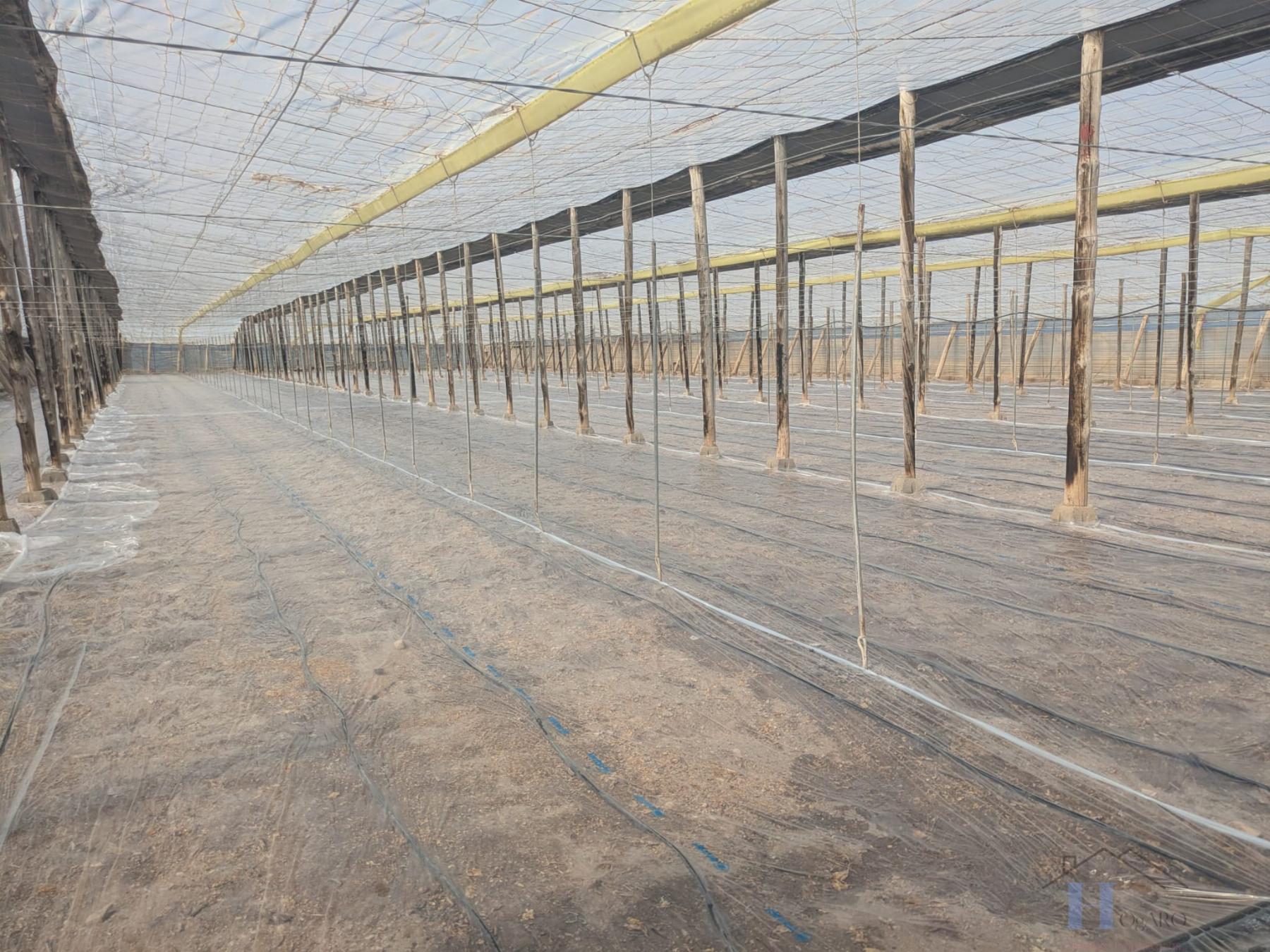 Venta de finca rústica en El Ejido