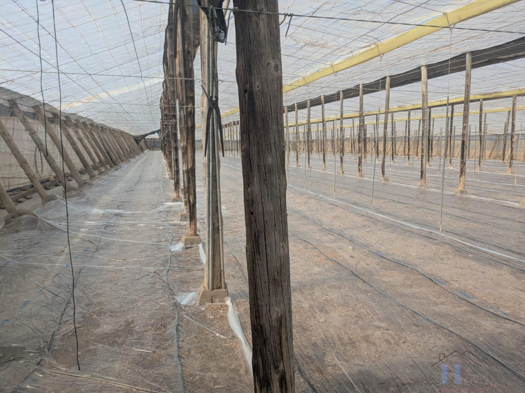 Venta de finca rústica en El Ejido