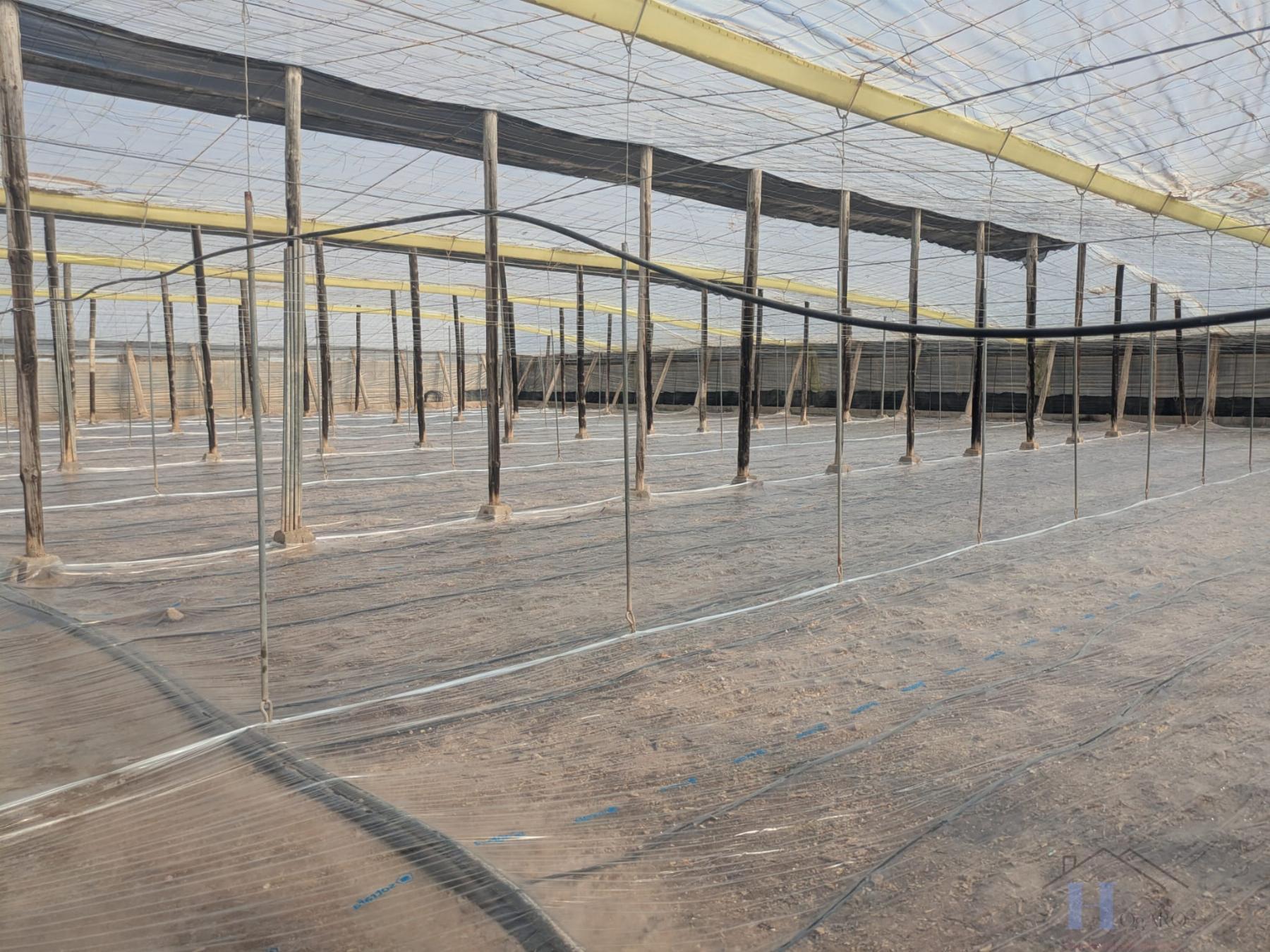 Venta de finca rústica en El Ejido