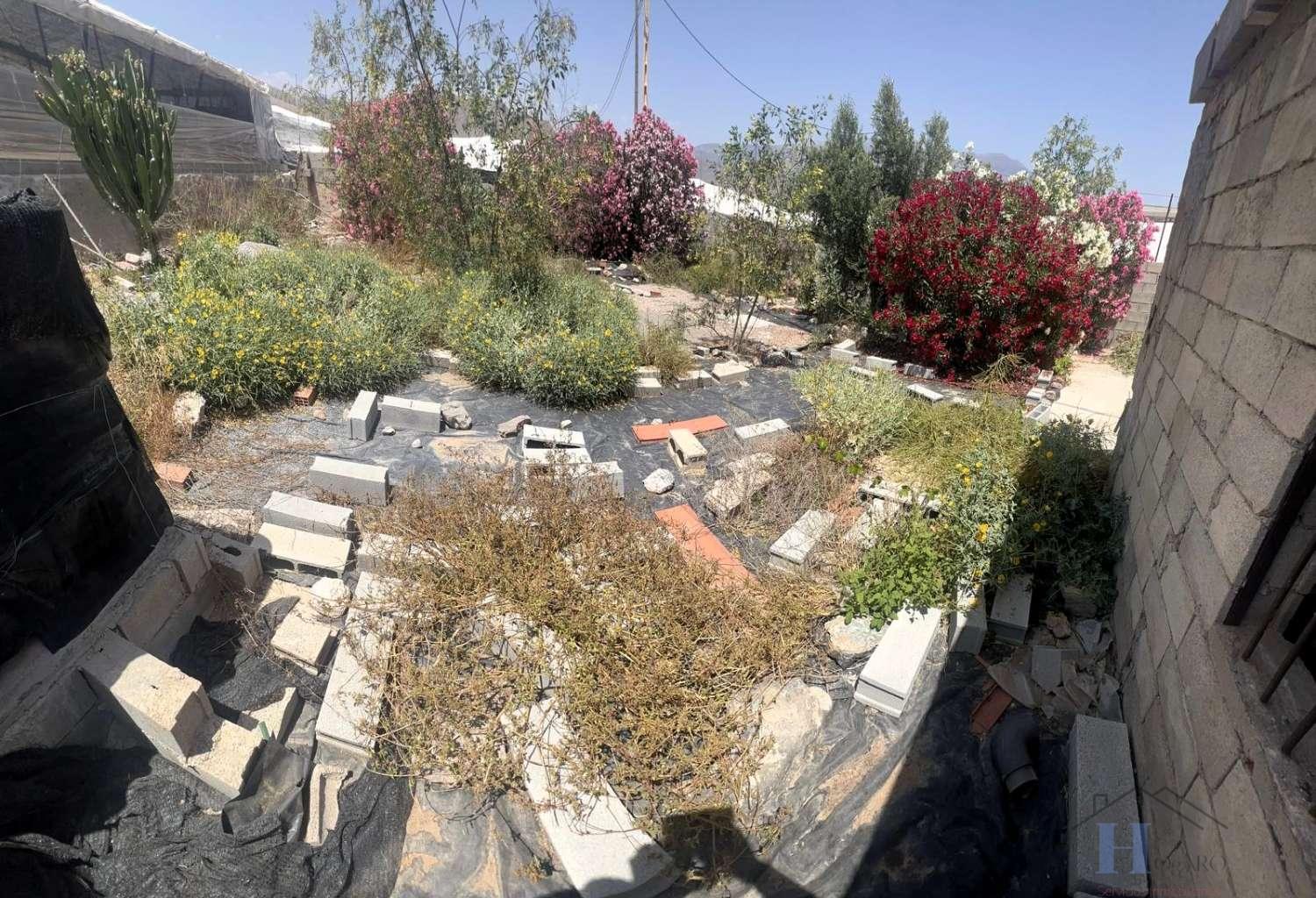 For sale of house in Berja