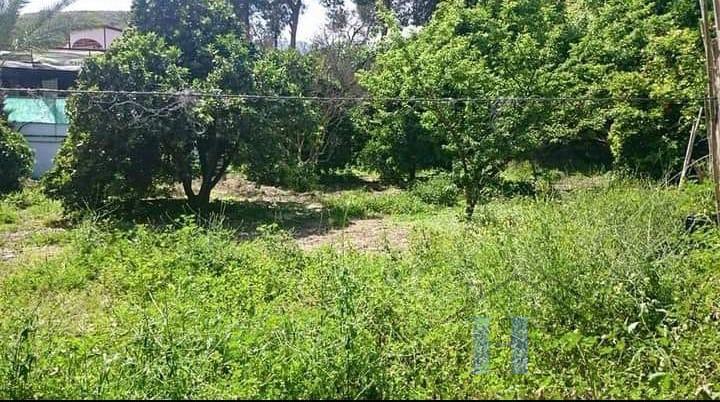 For sale of house in Berja