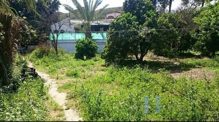 For sale of house in Berja