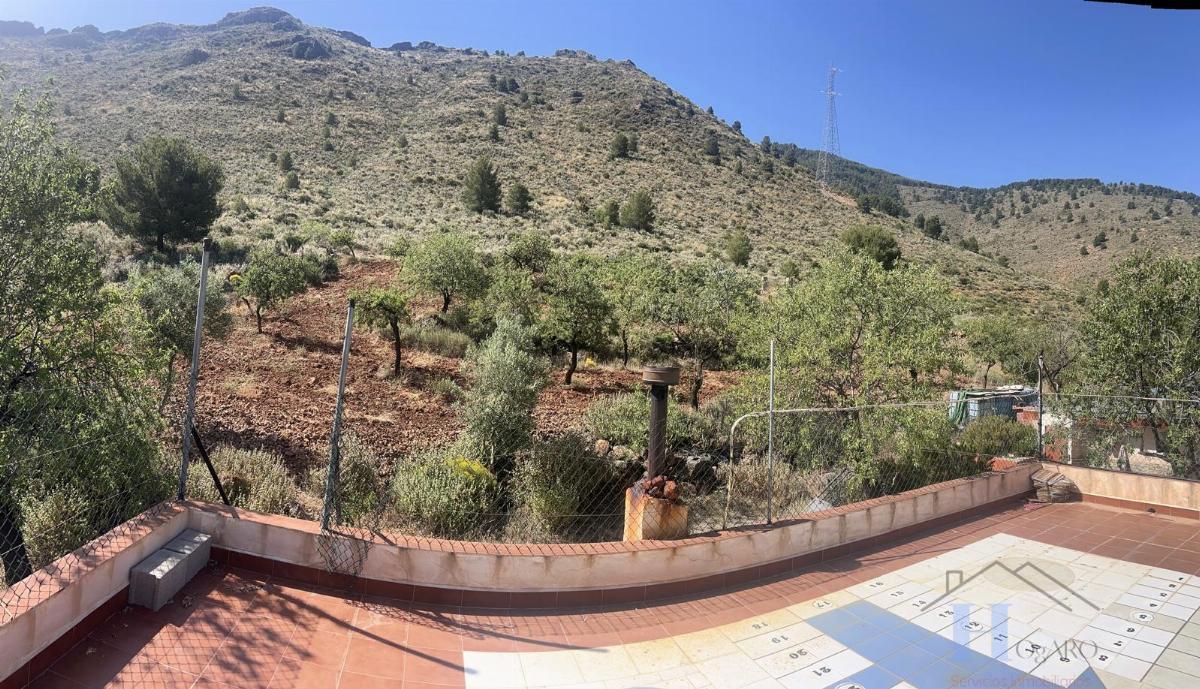 Venta de finca rústica en Fondón