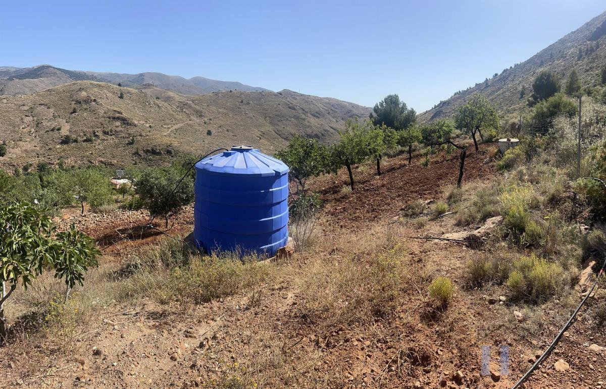 Venta de finca rústica en Fondón