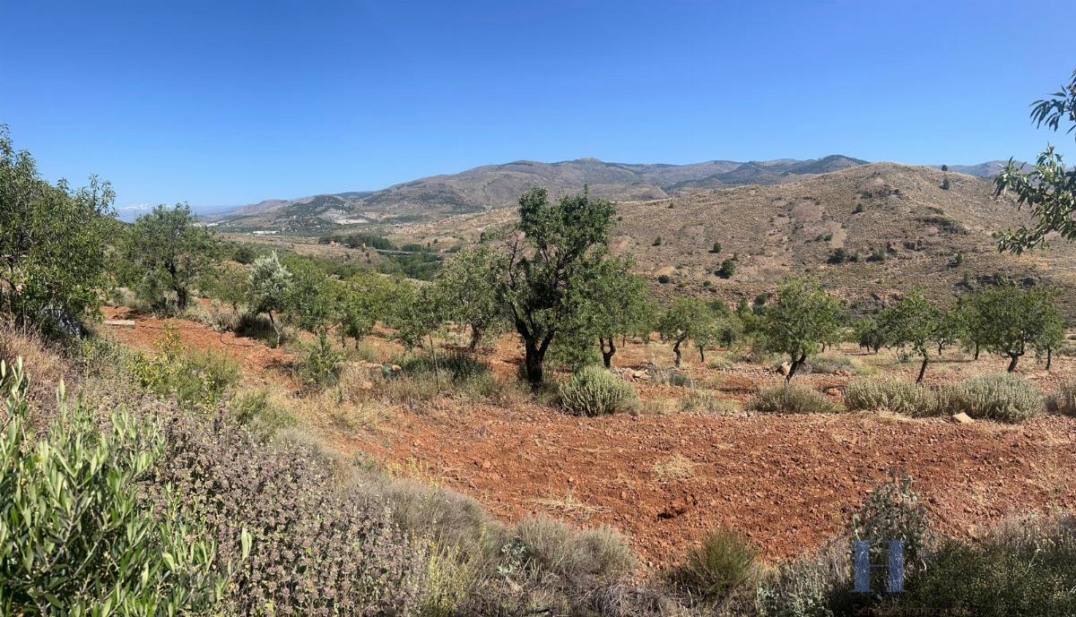 Venta de finca rústica en Fondón