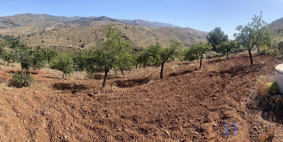 Venta de finca rústica en Fondón