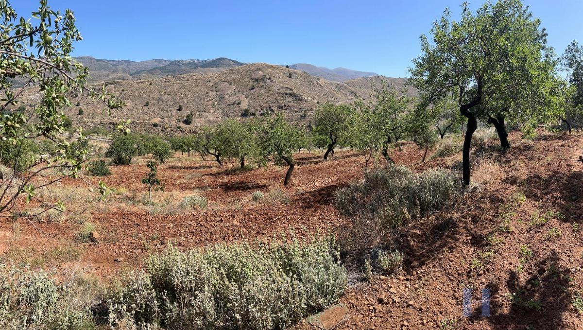 Venta de finca rústica en Fondón