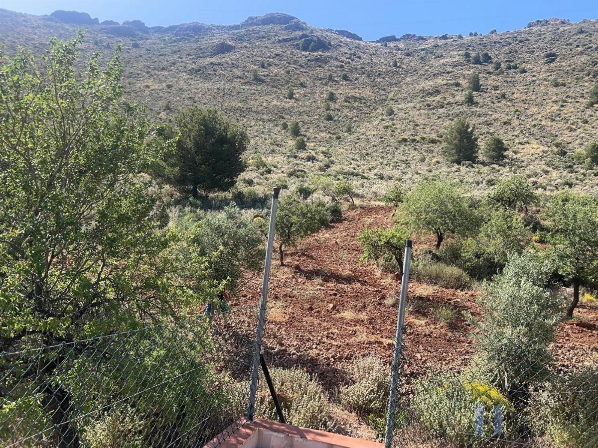 Venta de finca rústica en Fondón
