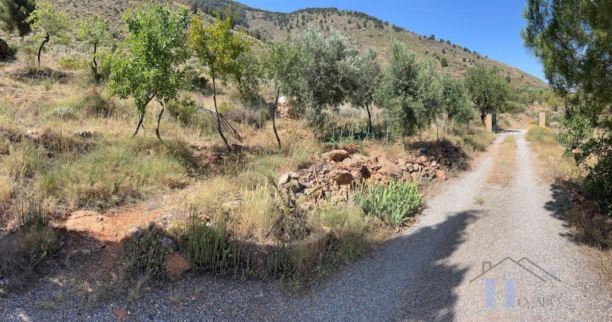 Venta de finca rústica en Fondón