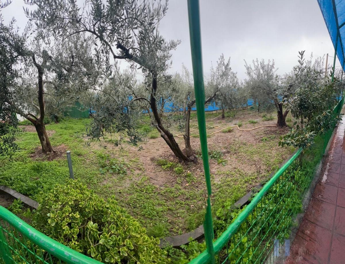 For sale of recreation property in Berja