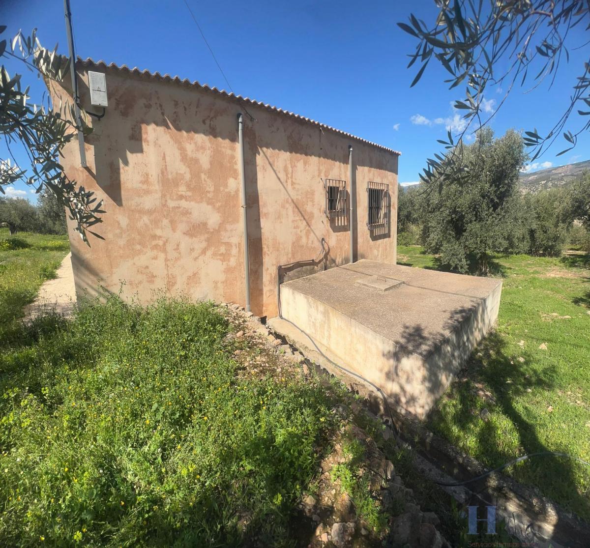 For sale of rural property in Alcolea