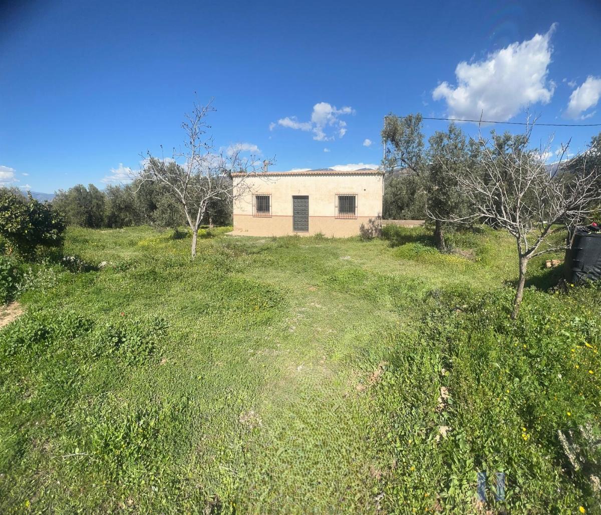 For sale of rural property in Alcolea