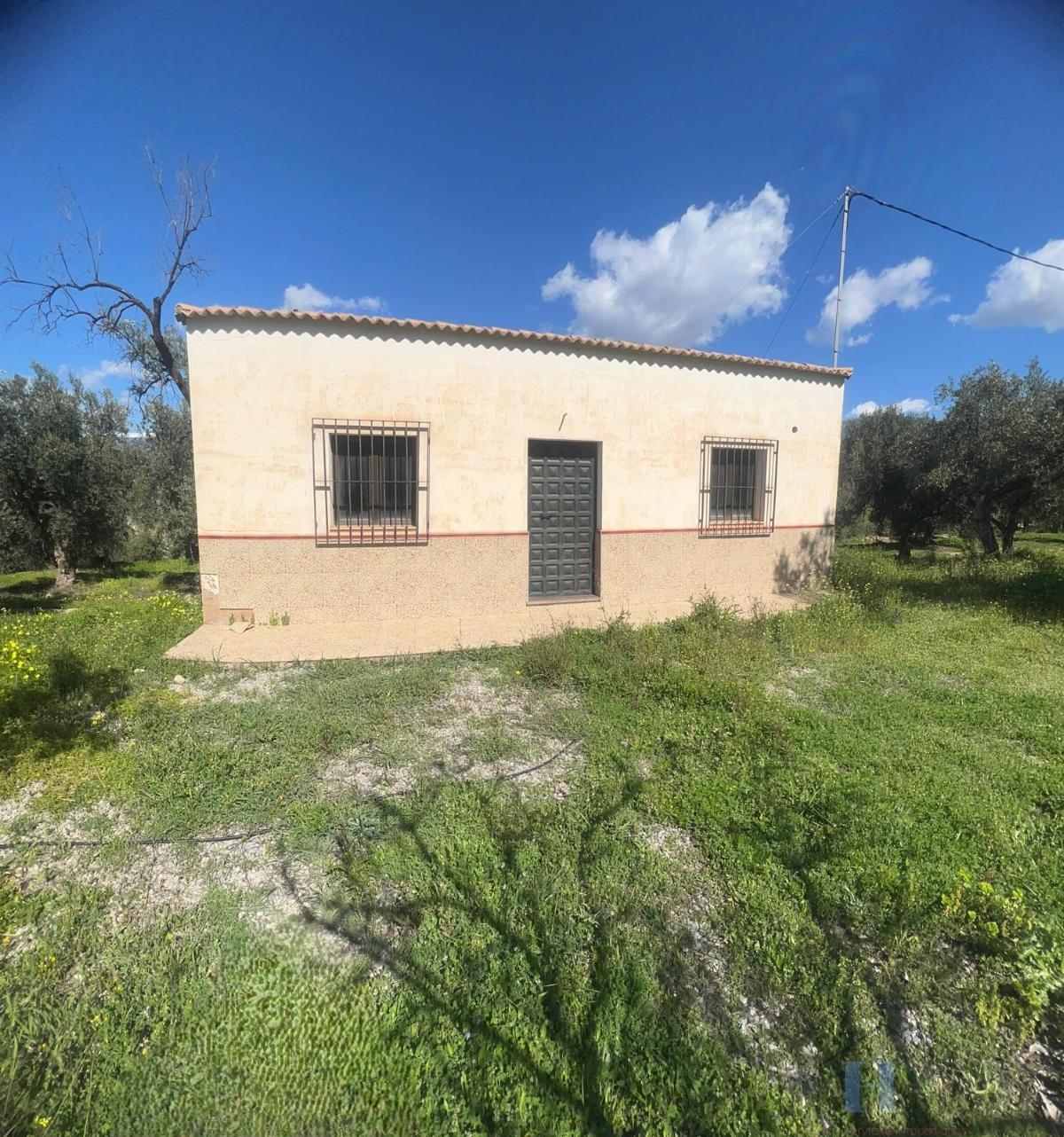 For sale of rural property in Alcolea