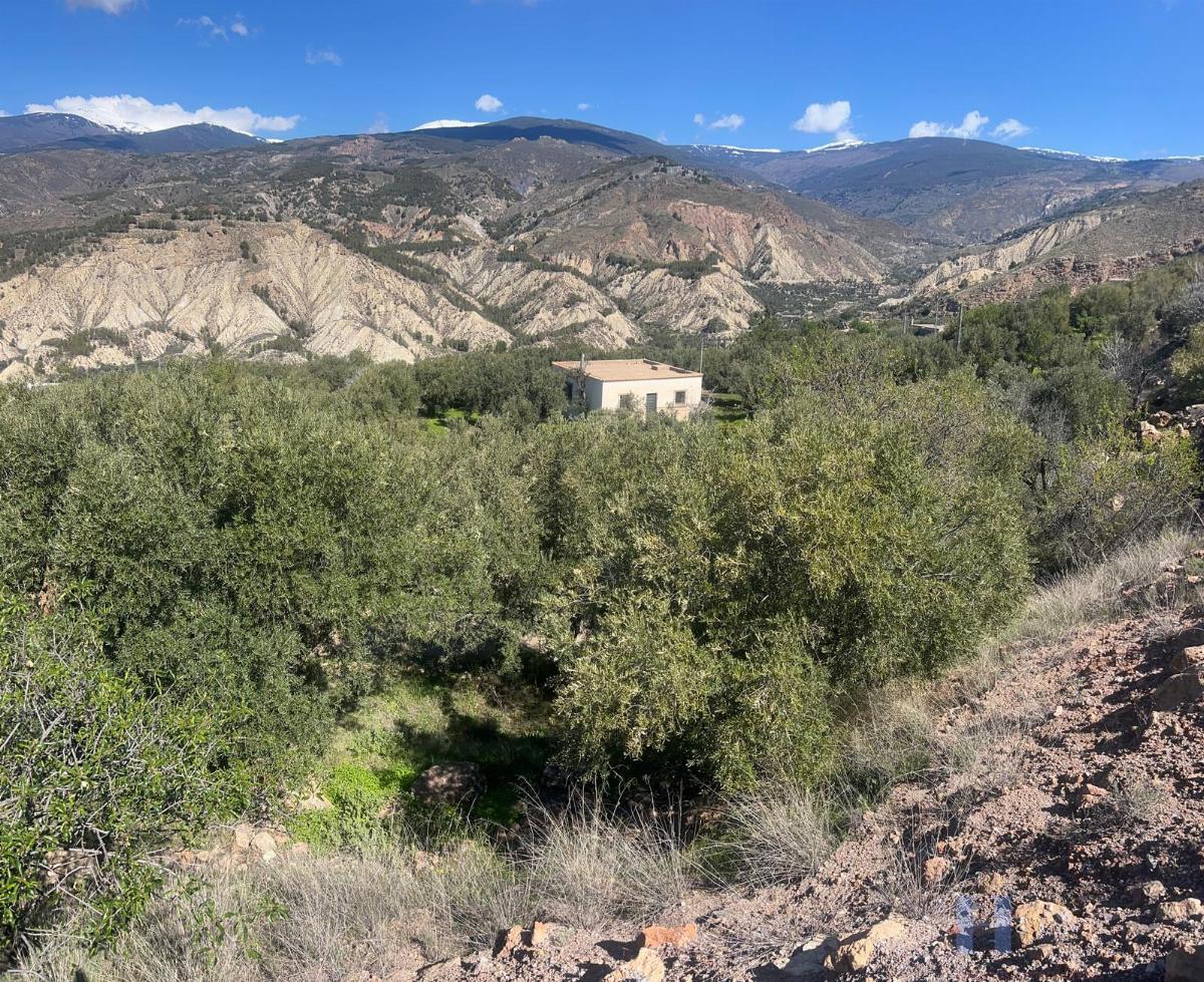For sale of rural property in Alcolea