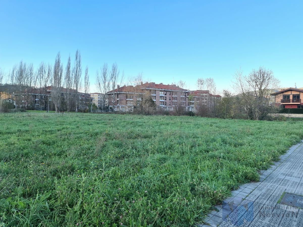 Ground