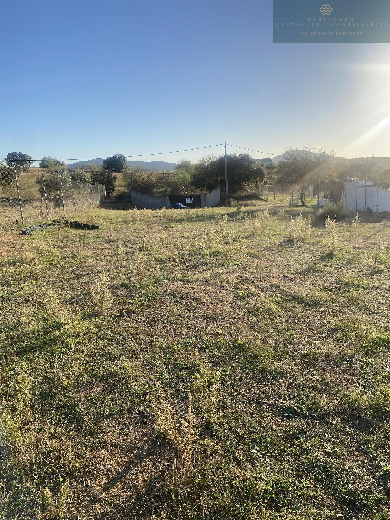 Venta de finca rústica en Don Álvaro