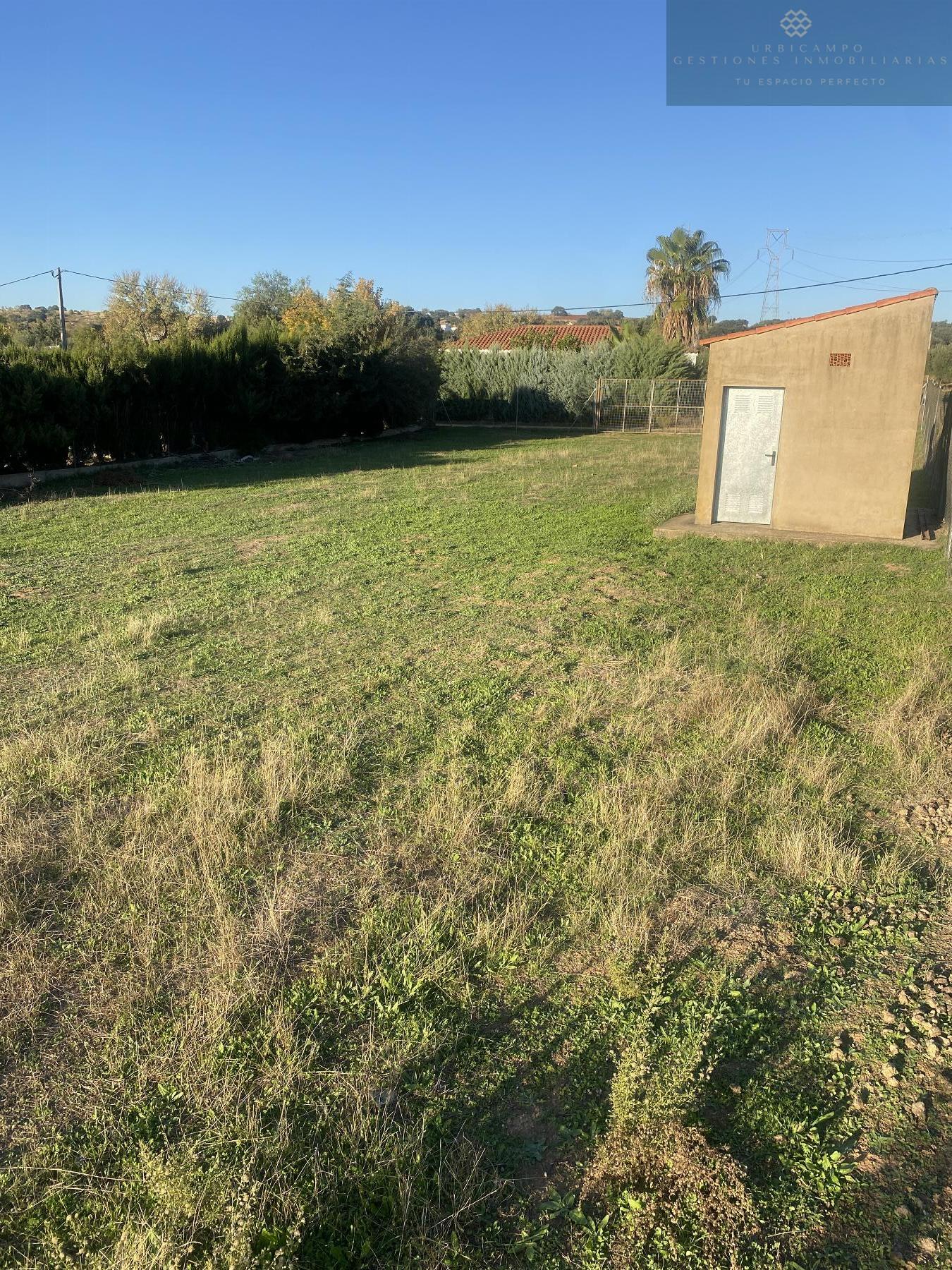 Venta de finca rústica en Don Álvaro
